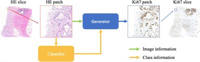 Effective Immunohistochemistry Pathology Microscopy Image Generation Using CycleGAN